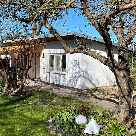 Holiday home Bungalow Im Erlengrund
